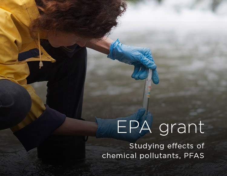 EPA grant: Studying effects of chemical pollutants, PFAS 