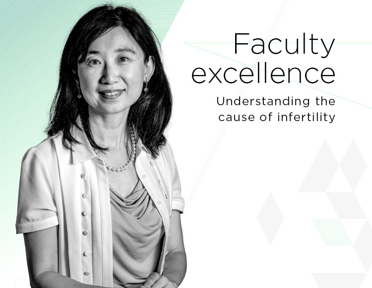 Faculty excellence: Understanding the cause of infertility 