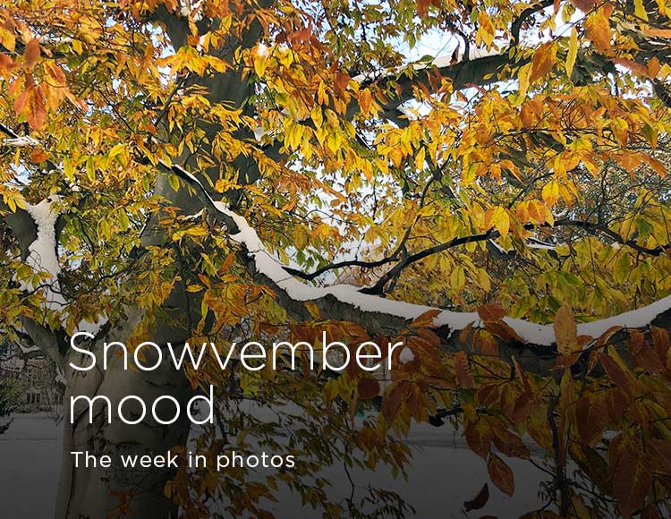 Snowvember mood: The week in photos