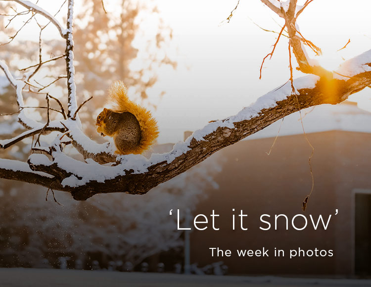 ‘Let it snow’: The week in photos