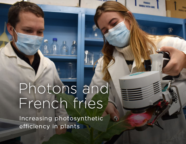 Photons and French fries: Increasing photosynthetic efficiency in plants