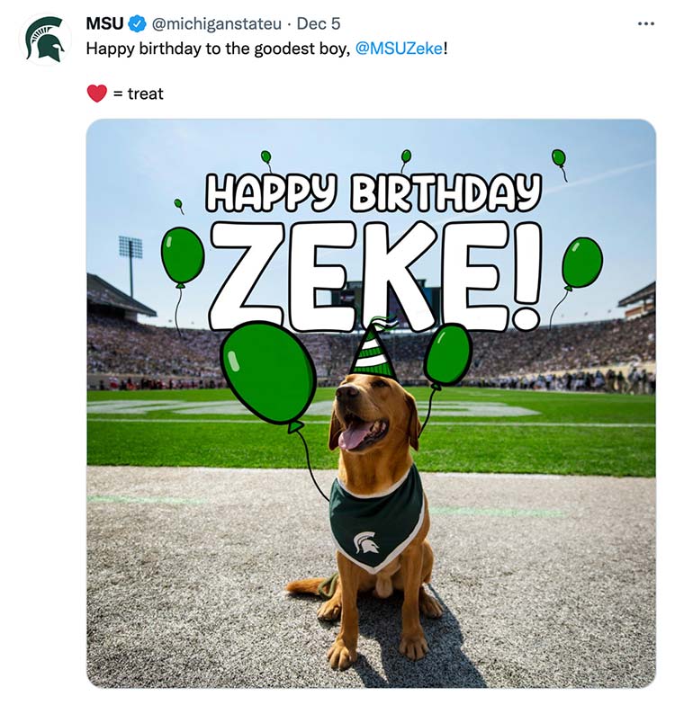 Happy birthday to the goodest boy, @MSUZeke! ❤️ = treat