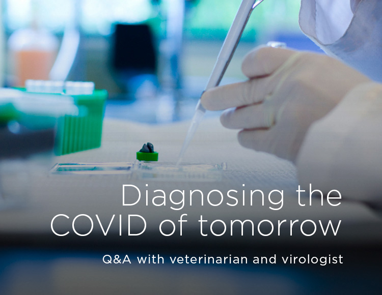 Diagnosing the COVID of tomorrow: Q&A with veterinarian and virologist 