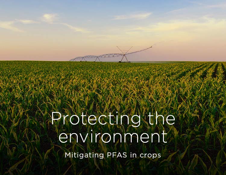 Protecting the environment: Mitigating PFAS in crops