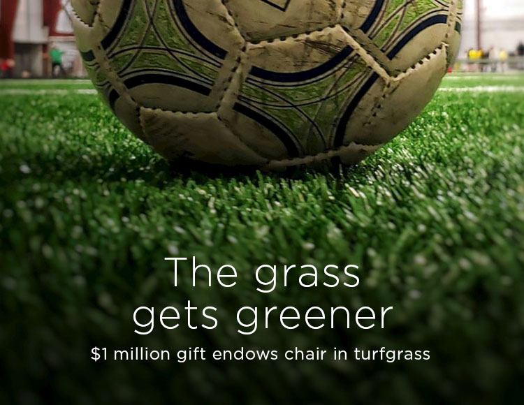 The grass gets greener: $1million gift endows chair in turfgrass