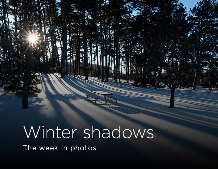 Winter shadows: The week in photos