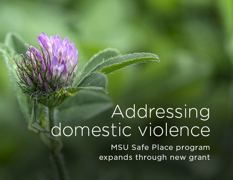 Addressing domestic violence: MSU Safe Place program expands through new grant 