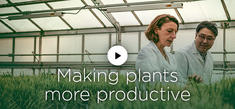 Making plants more productive