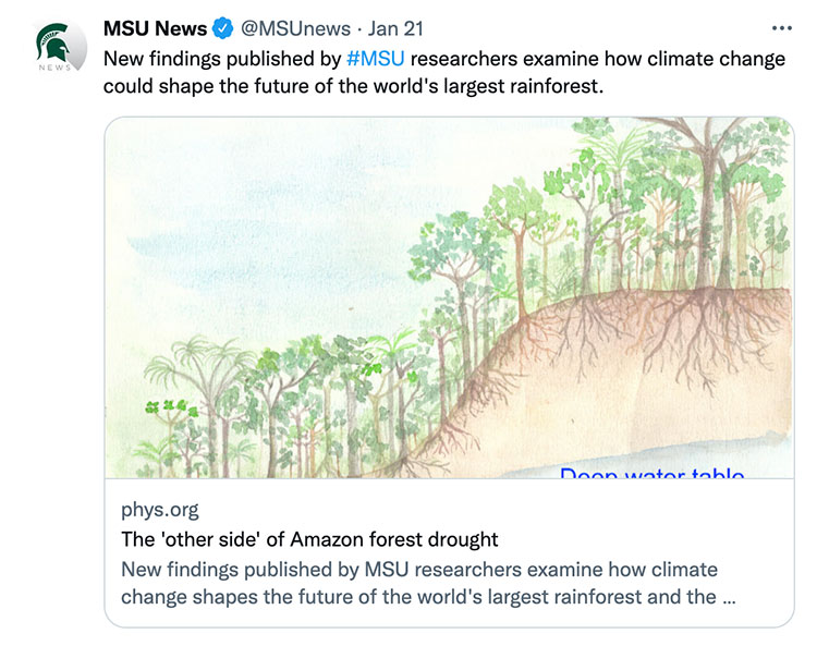 New findings published by #MSU researchers examine how climate change could shape the future of the world's largest rainforest.