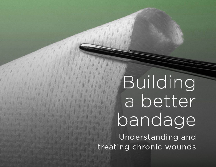 Building a better bandage: Understanding and treating chronic wounds