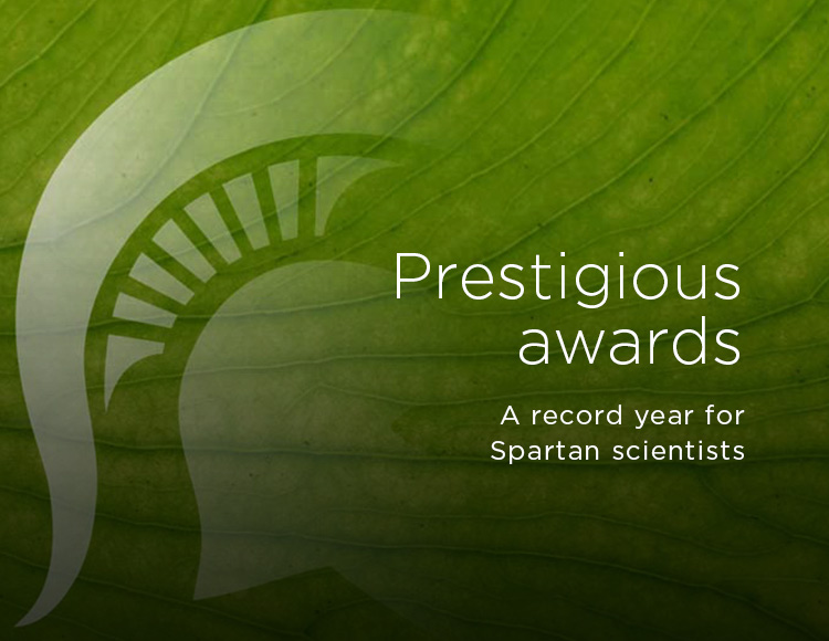 Prestigious awards: A record year for Spartan scientists