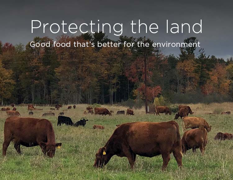 Protecting the land: Good food that’s better for the environment 