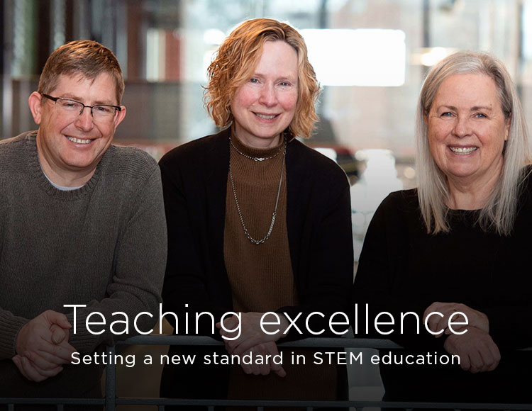 Teaching excellence: Setting a new standard in STEM education