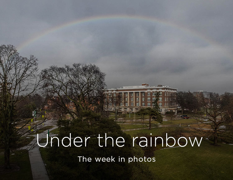Under the rainbow: The week in photos
