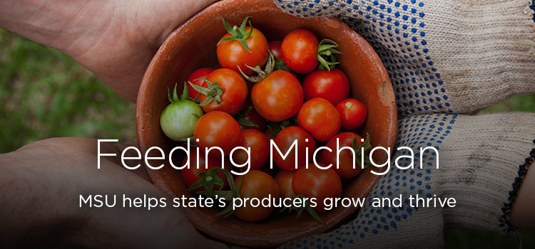 Feeding Michigan: MSU helps state’s producers grow and thrive