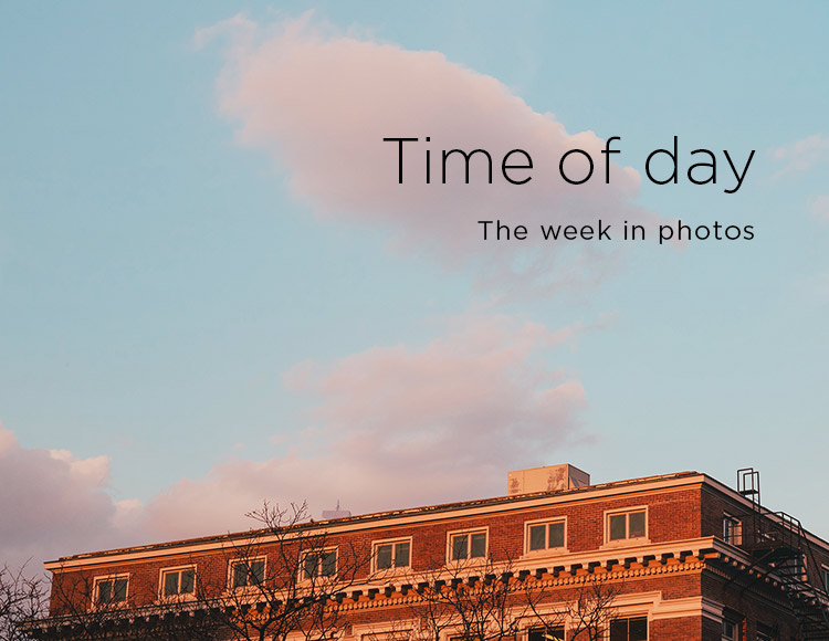 Time of day: This week in photos