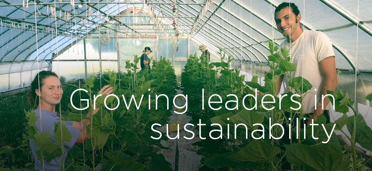 Growing leaders in sustainability