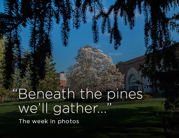 “Beneath the pines we’ll gather...” The week in photos