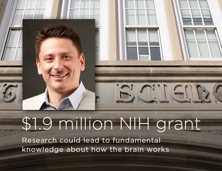 $1.9 million NIH grant: Research could lead to fundamental knowledge about how the brain works