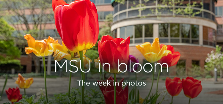 MSU in bloom: The week in photos