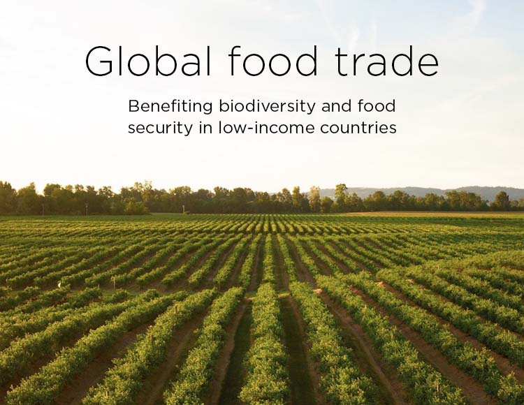 Global food trade: Benefiting biodiversity and food security in low-income countries
