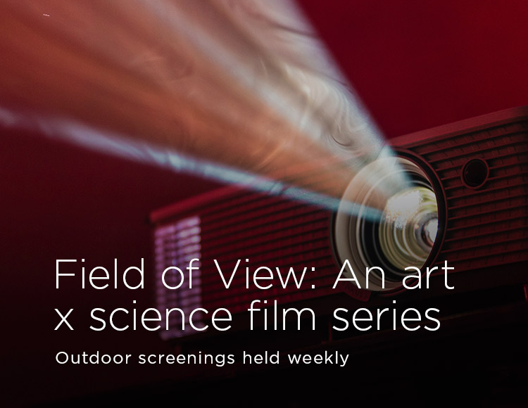 Field of View: An art x science film series — Outdoor screenings held weekly