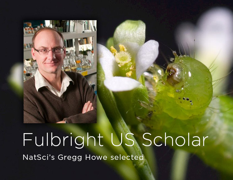 Fulbright U.S. Scholar: NatSci’s Gregg Howe selected