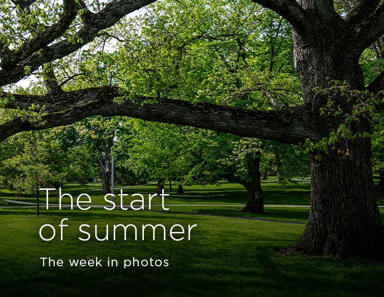 The start of summer: The week in photos