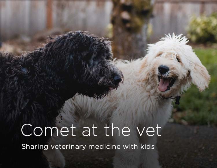 Comet at the vet: Sharing veterinary medicine with kids