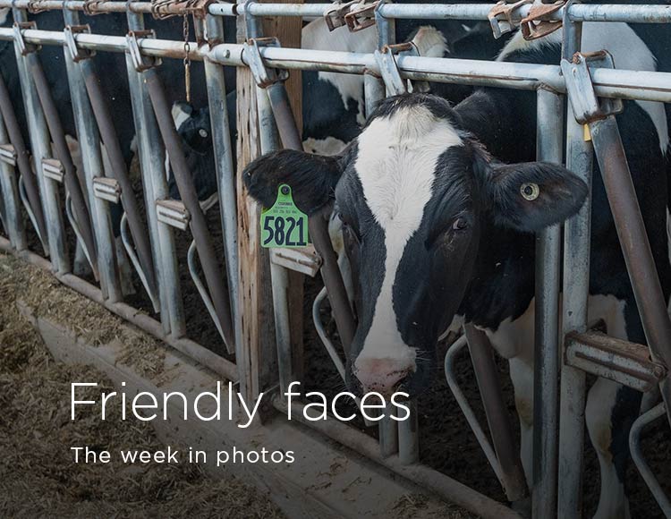 Friendly faces: The week in photos