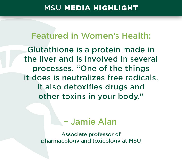 MSU media highlight, featured in Women’s Health: Glutathione is a protein made in the liver and is involved in several processes. “One of the things it does is neutralizes free radicals. It also detoxifies drugs and other toxins in your body.” —Jamie Alan, associate professor of pharmacology and toxicology at MSU 