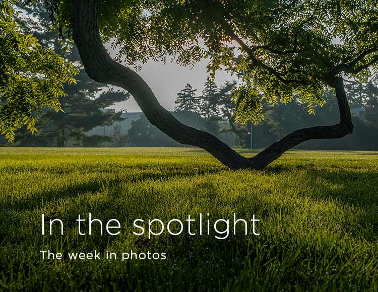 In the spotlight: The week in photos