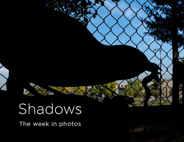 Shadows: The week in photos