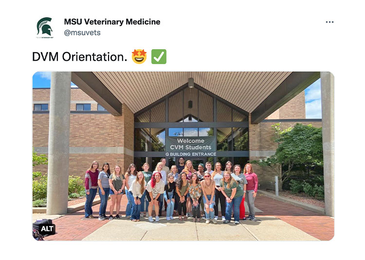 DVM Orientation. 🤩 ✅