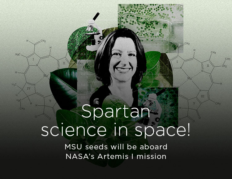 Spartan science in space! MSU seeds will be aboard NASA’s Artemis I mission