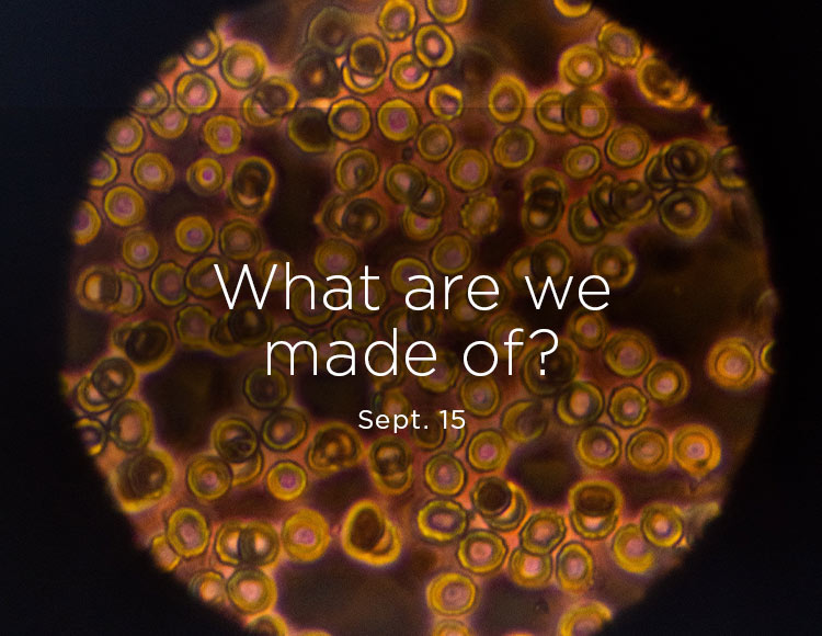 What are we made of? Sept. 15