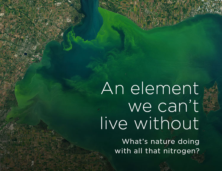 An element we can’t live without: What’s nature doing with all that nitrogen?