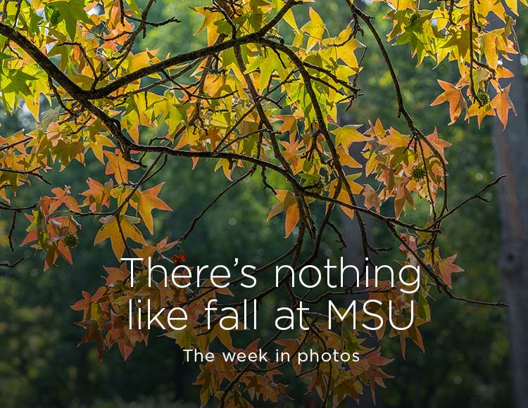 There’s nothing like fall at MSU: The week in photos