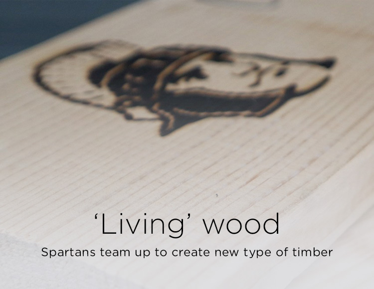 ‘Living’ wood: Spartans team up to create new type of timber
