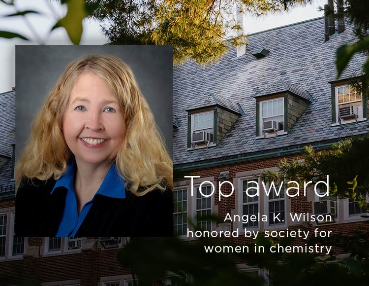 Top award: Angela K. Wilson honored by society for women in chemistry