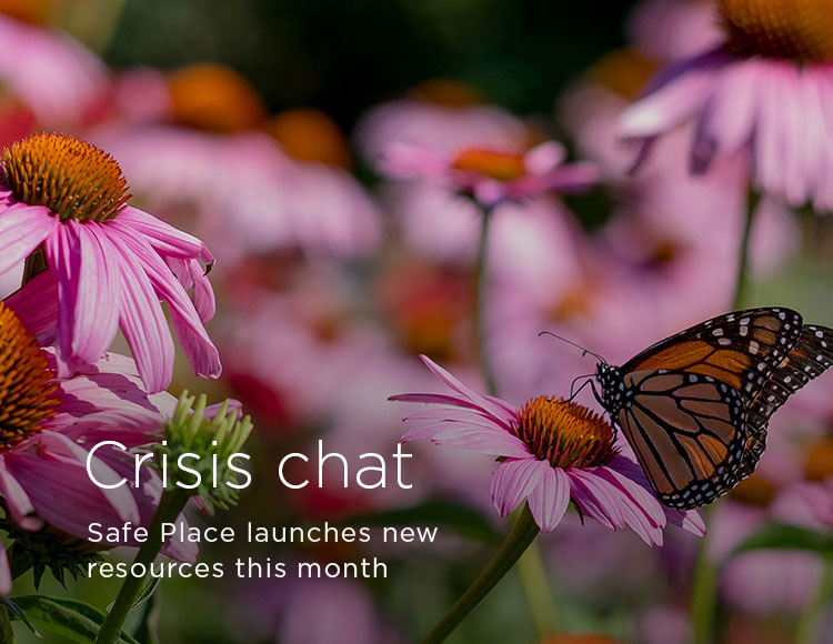 Crisis chat: Safe Place launches new resources this month