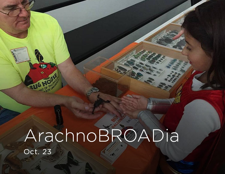 ArachnoBROADia: Oct. 23