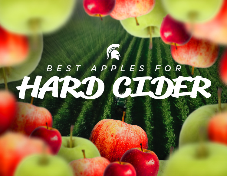 Picking the Best Apples for Michigan Hard Cider