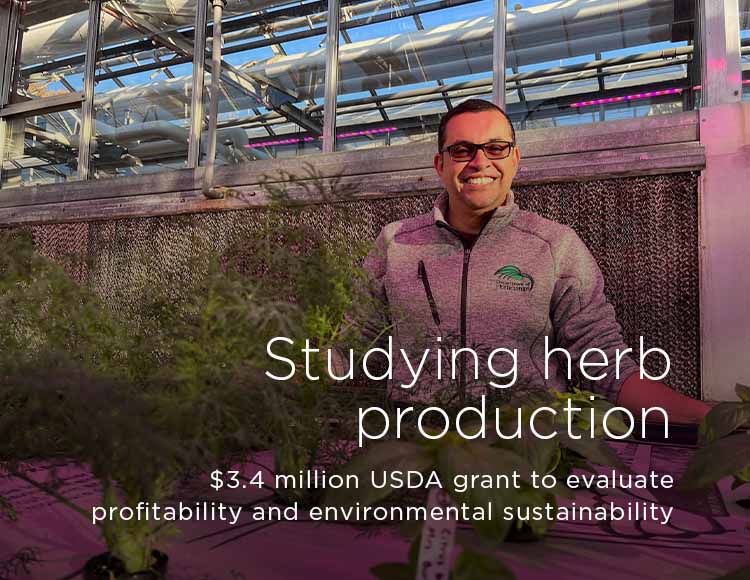 Studying herb production: $3.4 million USDA grant to evaluate profitability and environmental sustainability
