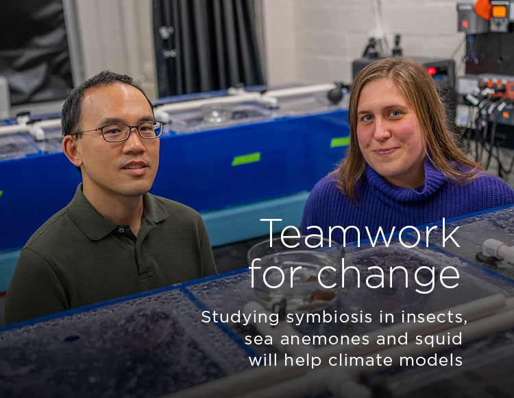 Teamwork for change: Studying symbiosis in insects, sea anemones and squid will help climate models