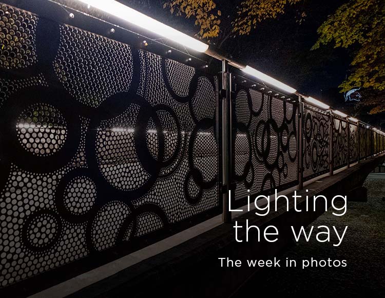 Lighting the way: the week in photos