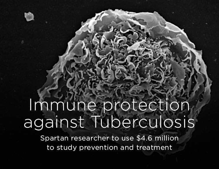 Immune protection against Tuberculosis: Spartan researcher to use $4.6 million to study prevention and treatment