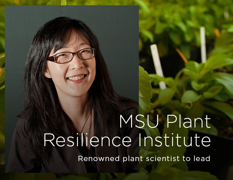 MSU Plant Resilience Institute: Renowned plant scientist to lead