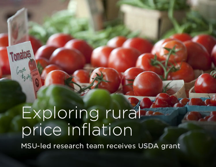 Exploring rural price inflation: MSU-led research team receives USDA grant
