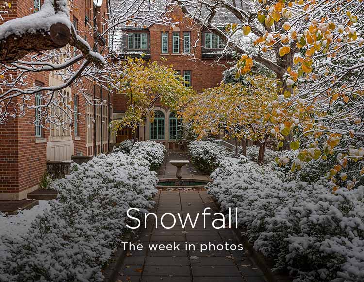Snowfall: The week in photos